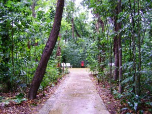 Jardim Botânico do Recife